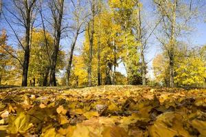 les derniers jours ensoleillés de l'automne lumineux photo