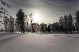 parc d'hiver, neige. photo