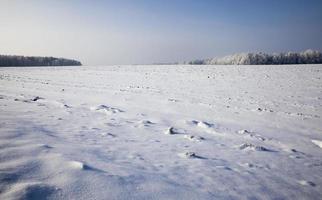 champ agricole couvert de neige photo