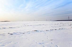 champ couvert de neige photo