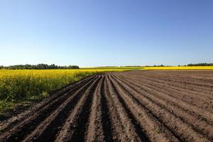 champ agricole et ciel photo