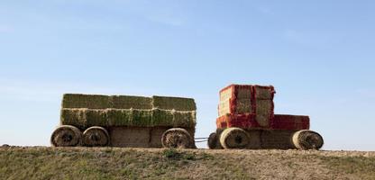 paille de tracteur, gros plan photo