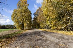 une route tranquille en automne photo