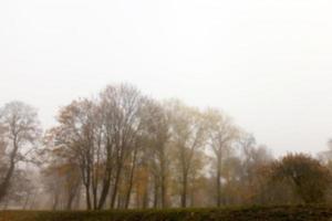 parc d'automne, couvert photo