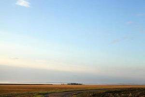 paysage d'été, gros plan photo