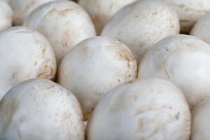 champignon de champignons non lavés pendant la cuisson photo