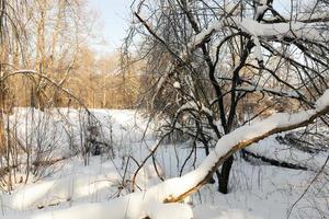 une petite rivière dont l'eau est gelée en hiver photo