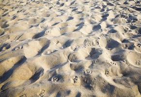 photo en gros plan de sable et de terre