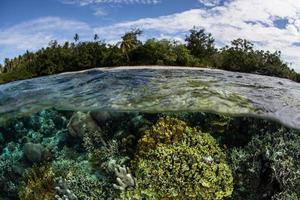récif sain et île tropicale photo