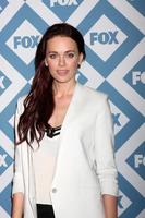 los angeles, jan 13 - katia winter à la fête d'hiver 2014 de fox tca à l'hôtel langham huntington le 13 janvier 2014 à pasadena, ca photo