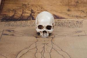 crâne humain sur fond de carte ancienne photo