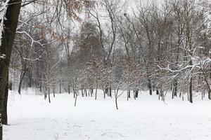 congères de neige en hiver photo