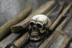 crâne ou squelette de la photographie humaine photo