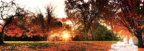 lueur de feu d'automne photo