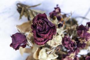 fleurs séchées et mortes dans un pot photo