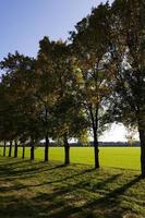 arbres d'automne, ciel photo