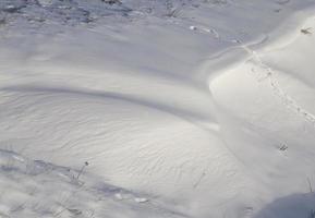 neige molle mais gelée qui est tombée pendant les chutes de neige photo