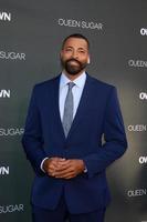 Los angeles, 29 août - timon kyle durrett à la première de propre s queen sugar aux studios warner brothers le 29 août 2016 à burbank, ca photo