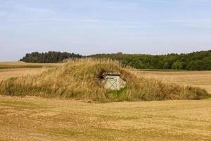 cave pour conserver les aliments photo