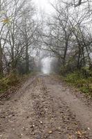 route de campagne, forêt photo