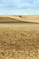 terre labourée pour les céréales photo