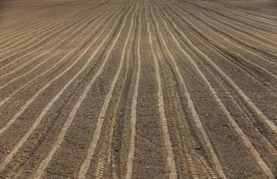 terres agricoles labourées photo