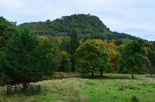 belle végétation luxuriante dans la campagne écossaise photo