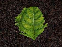 carte de la sierra leone faite de feuilles vertes sur le concept d'écologie de fond de sol photo