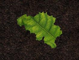 Belgique carte faite de feuilles vertes, concept écologie carte feuille verte sur fond de sol photo