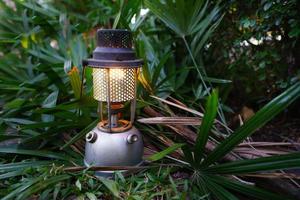 ancienne lampe à huile sur une branche verte dans la forêt.camping, concept extérieur.mise au point douce. photo