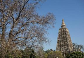 temple mahabodhi, bodh gaya, inde photo