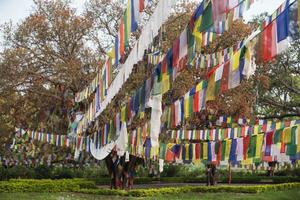 drapeaux de prière bouddhistes à lumbibi, népal photo