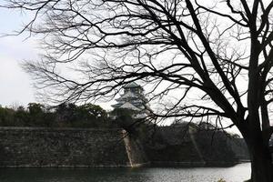 Château d'Osaka à Osaka, Japon photo