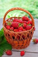 fraises fraîches dans un panier sur une table dans le jardin photo