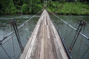 pont vers la jungle photo