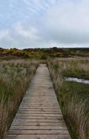 Plate-forme en bois sur les landes en Angleterre photo