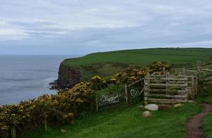 vue panoramique sur la promenade côtière le long des falaises de St Bees photo