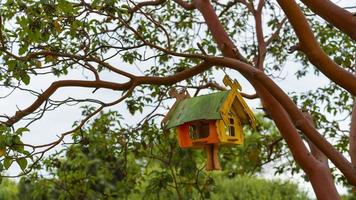 paysage avec mangeoires d'oiseaux sur les arbres photo