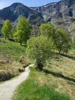 flam et l'aurlandsfjord en norvège photo