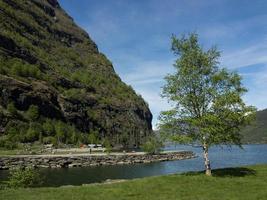 flam et l'aurlandsfjord en norvège photo