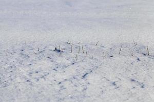 champ couvert de neige photo