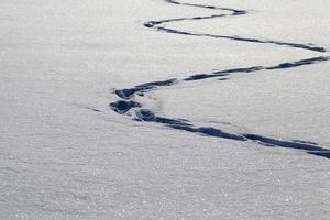 traces en zigzag sur les congères photo