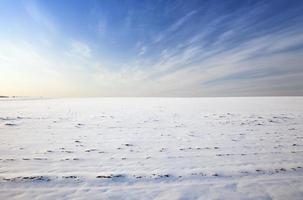 le champ couvert de neige photo