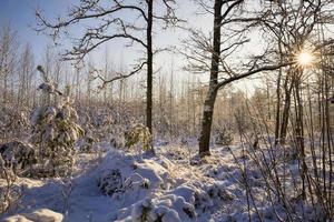 paysage d'hiver soleil photo