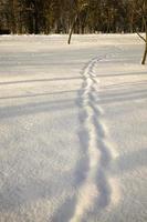 les traces de la dernière personne laissées sur la neige photo