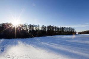 neige en hiver photo