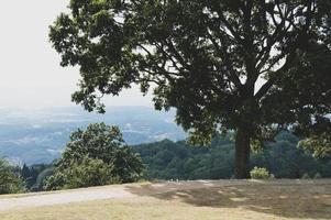 vue de dessus de la colline du parc de nara au japon photo