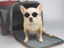 chien chihuahua brun portant des lunettes de soleil assis devant le sac de transport pour animaux de compagnie du voyageur sur fond blanc, regardant la caméra, isolé. voyager en toute sécurité avec des animaux. photo