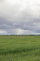 champ agricole, ciel photo