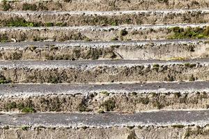 vieil escalier en pierre photo